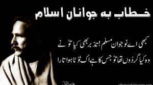 The Famous Shaheen Of Allama Iqbal Is Missing And Pakistanis Should Be