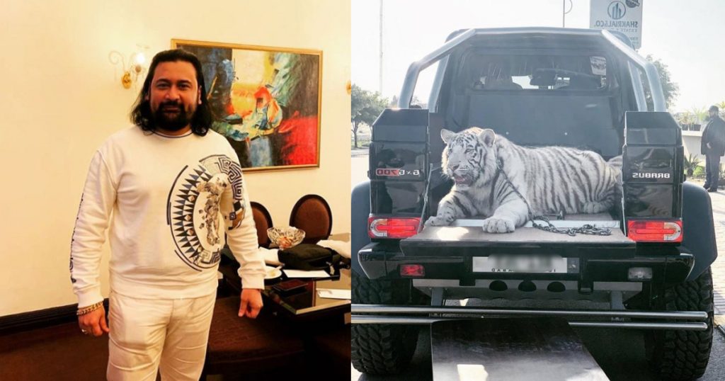 Kunwar Moeez Just Brought An Exotic Siberian Tiger To Islamabad And Angry Pakistanis Are Worried For The Animal